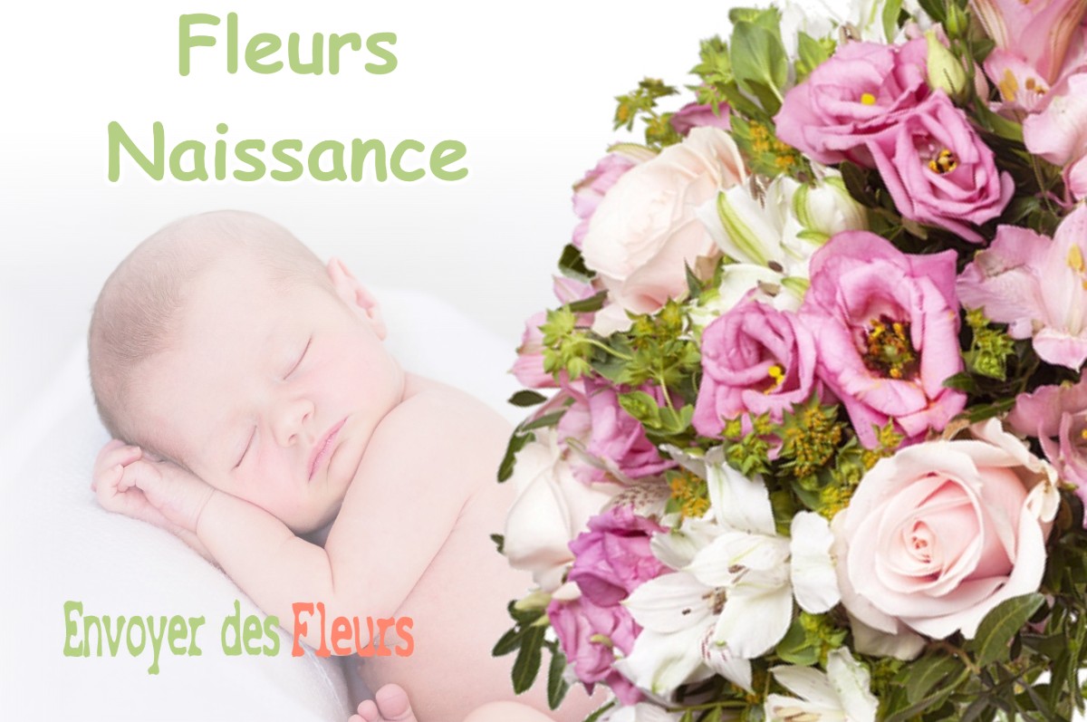 lIVRAISON FLEURS NAISSANCE à SAINT-LOUP-CAMMAS